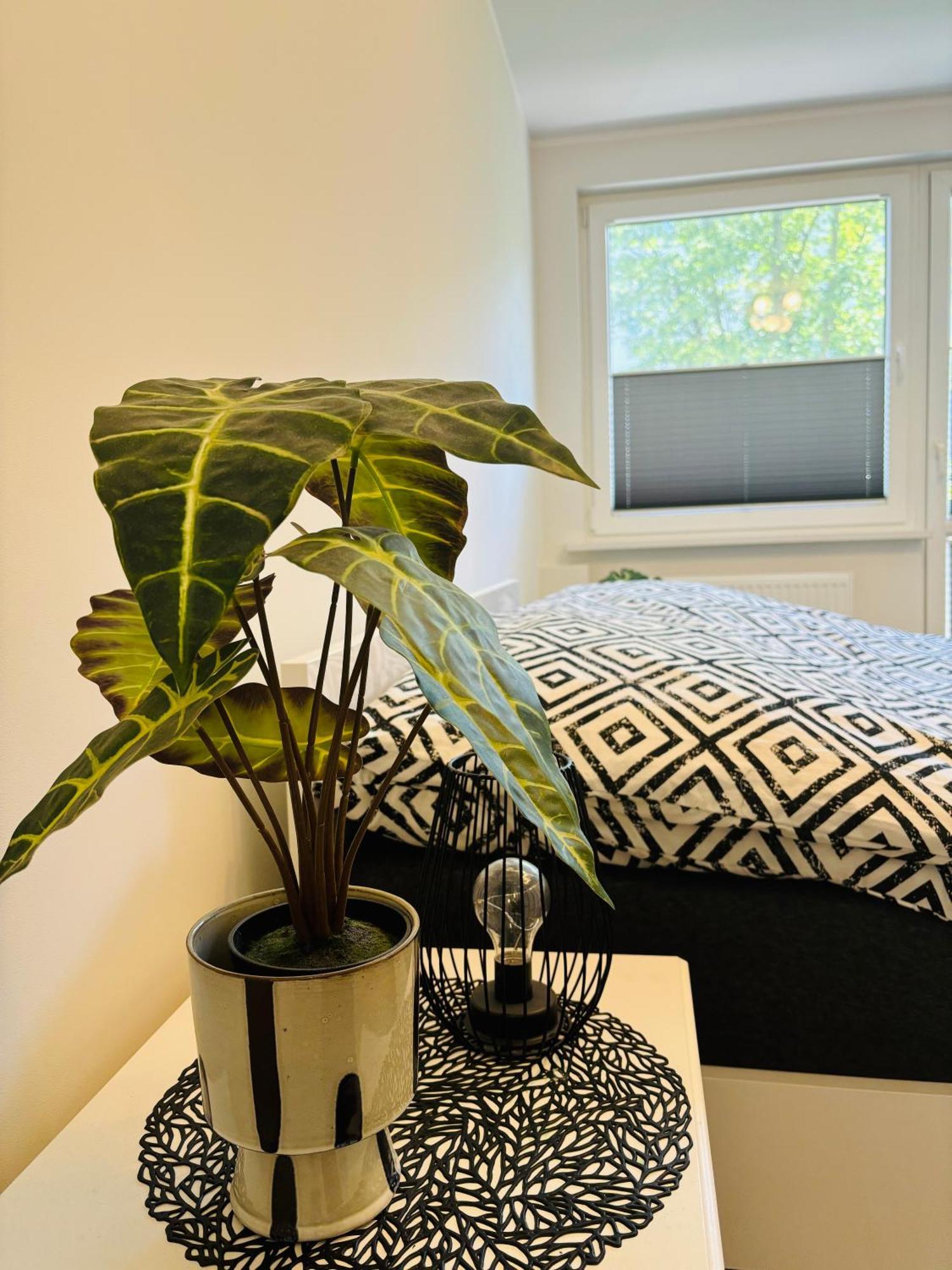 Apartament Centrum Swinoujscie 1 מראה חיצוני תמונה